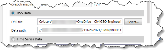 DSS Data section