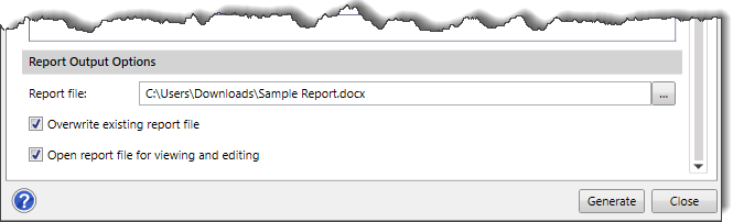 Report Output Options Section