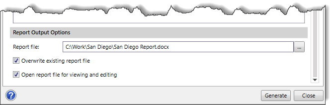 Report Output Options section