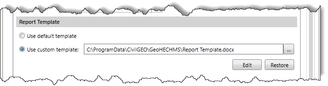 Report Template section