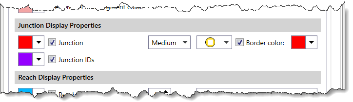 Junction Display Properties section