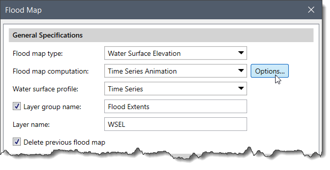 Options button adjacent to the Flood map computation dropdown combo