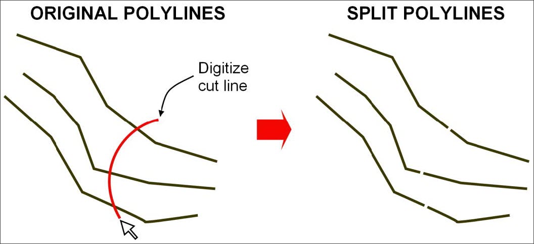 Split Polylines command example