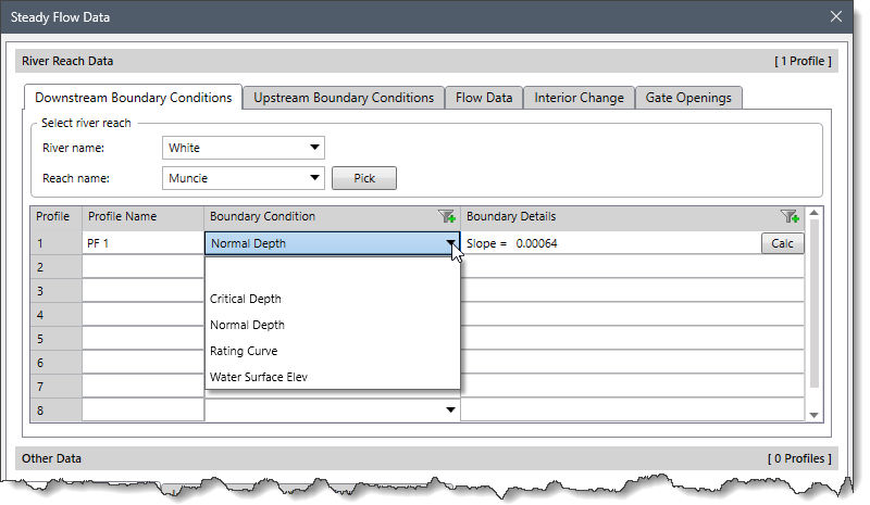 Boundary Condition dropdown entry